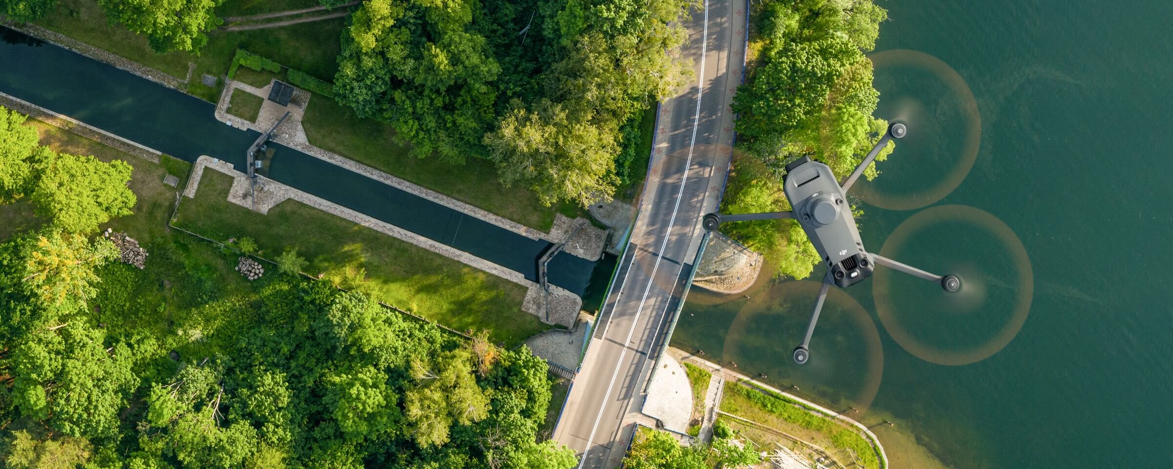 Estudios de áreas verdes urbanas