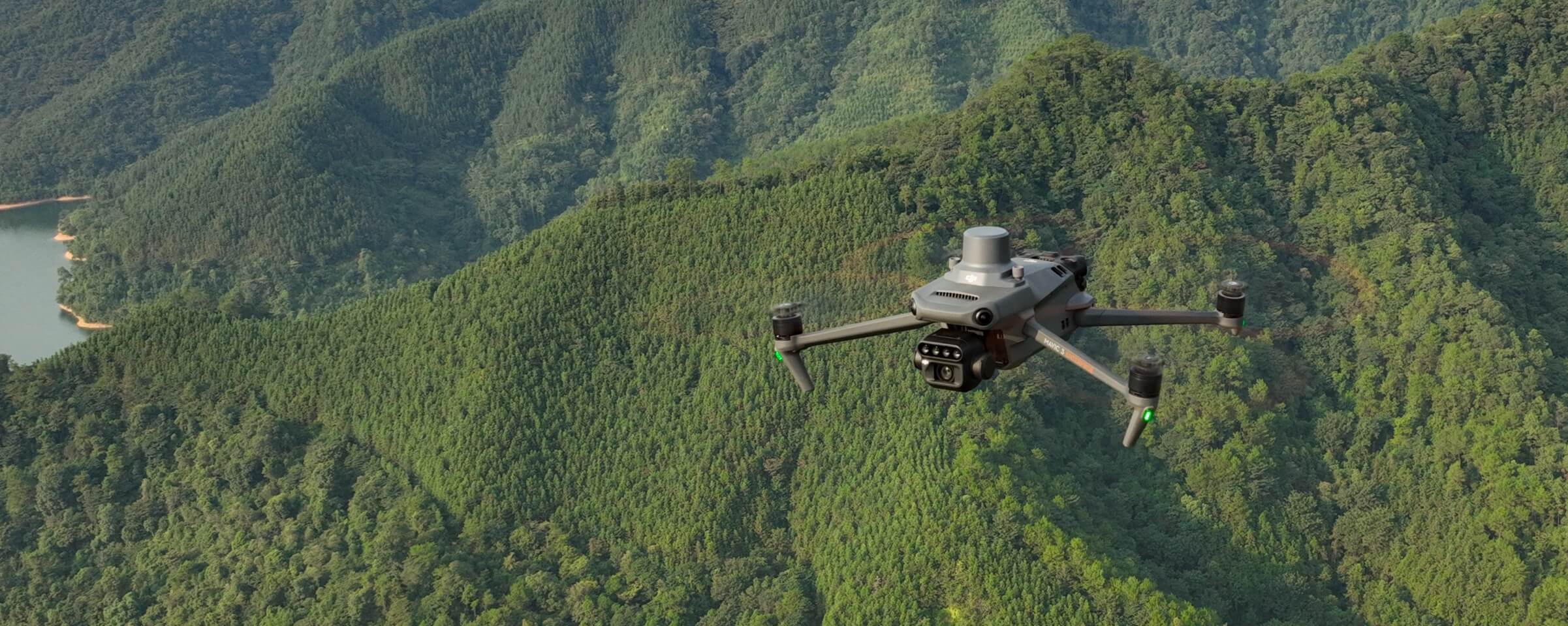 Estudios de distribución forestal